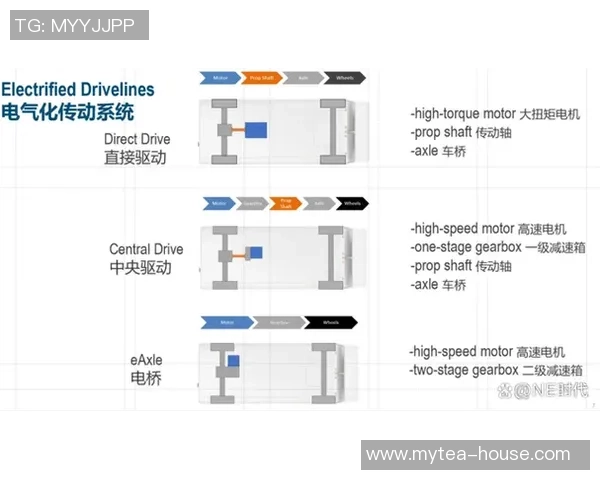 杭州网球队节奏表现分析与战术优化探讨